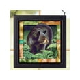 thumbnail image 2 of Wild Wings 5386497003 Stained Glass Art, 9-inch Square (Black Bear), 2 of 2