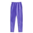 thumbnail image 3 of Hearthz Women's Wide Leg Sweatpants Baggy Straight Leg Sweat Pants Elastic High Waisted Loose Pants with Pockets Purple,S, 3 of 4