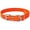 Neon Orange, variant on Sparky Pet Co - High-Flex 3/4" Roller Buckle Replacement Collars (Neon Orange)