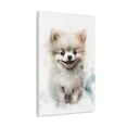 thumbnail image 1 of Watercolor Pomeranian Painting 16 - Nursery Collection - Bedtime Stories, 1 of 7