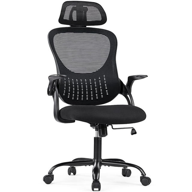 EDX Ergonomic Mesh Office Chair, Adjustable Height with Lumbar Support, Flipped up Armrests, Headrest, Black