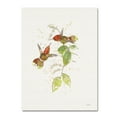 thumbnail image 1 of Trademark Fine Art 'Colorful Hummingbirds II' Canvas Art by Katie Pertiet, 1 of 3