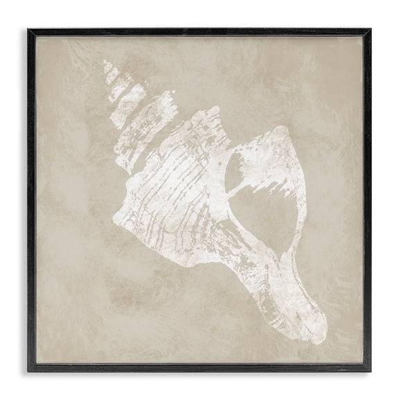 Stupell Industries Cottage Rustic Distressed Conch Black Framed Giclee Art, 12 x 12, by Carol Robinson