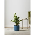thumbnail image 5 of BEMAY  Set of 3  Plant Pots, Ceramic Planters for Indoor Plants, 8.3+6.9+5.7 inch Flower Pots with Drainage Holes, Indoor Planters for House Plants,Glaze Ocean Blue, 5 of 9