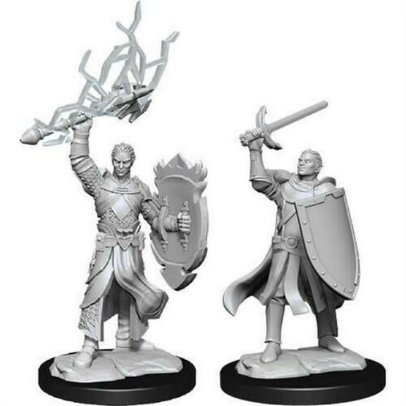 WizKids WZK90230 D&D Nolzurs Marvelous Unpainted Half-Elf Paladin Male W14 Miniature