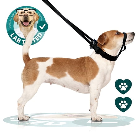 Head control Halter for Medium Dogs by Sporn