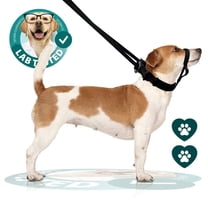 Head control Halter for Medium Dogs by Sporn