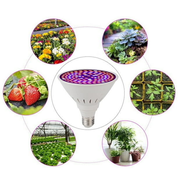 Lampe LED de croissance pour plantes d'intérieur, éclairage à intensité  réglable, spectre complet, avec minutage automatique, hauteur réglable