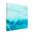 thumbnail image 2 of Trademark Fine Art 'Making Waves I' Canvas Art by Ethan Harper, 2 of 4
