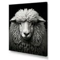 thumbnail image 2 of Designart "Black and White Grey and White Sheep" Animals Canvas Print, 2 of 5