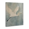 thumbnail image 2 of Stupell Industries Traditional Island Specter Bird Canvas Art, 16 x 20, by Grace Popp, 2 of 7