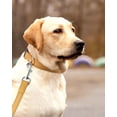 thumbnail image 2 of Minzimin 1pcs Reflective Dog Collar, Sturdy Nylon Collars for Large Girl and Boy Dogs, Adjustable Dog Collar with Quick Release Buckle, 2 of 6
