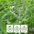 thumbnail image 3 of Organic Way Juniper Lemon Verbena Loose Leaf Tea | Organic, Gluten-Free, Naturally Decaffeinated | Cut & Sifted | 4 oz, 3 of 4