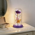 thumbnail image 5 of AYktou Valentine's Day Rose & Butterflys Desktop Ornaments, Birthday Gift L Light Artificial Rose with Glass Cover Glowing Rose Night Light Gift Preserved Flower for Her & Wife Grandma Mom, 5 of 6