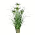 thumbnail image 2 of Vickerman VICK-TD190236 Vickerman 36" Green Cyperus Grass In Iron Pot - TD190236, 2 of 3