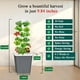 thumbnail image 4 of Sistema de cultivo hidropónico LyCereal, torre interior de 30 plantas, 4 of 6