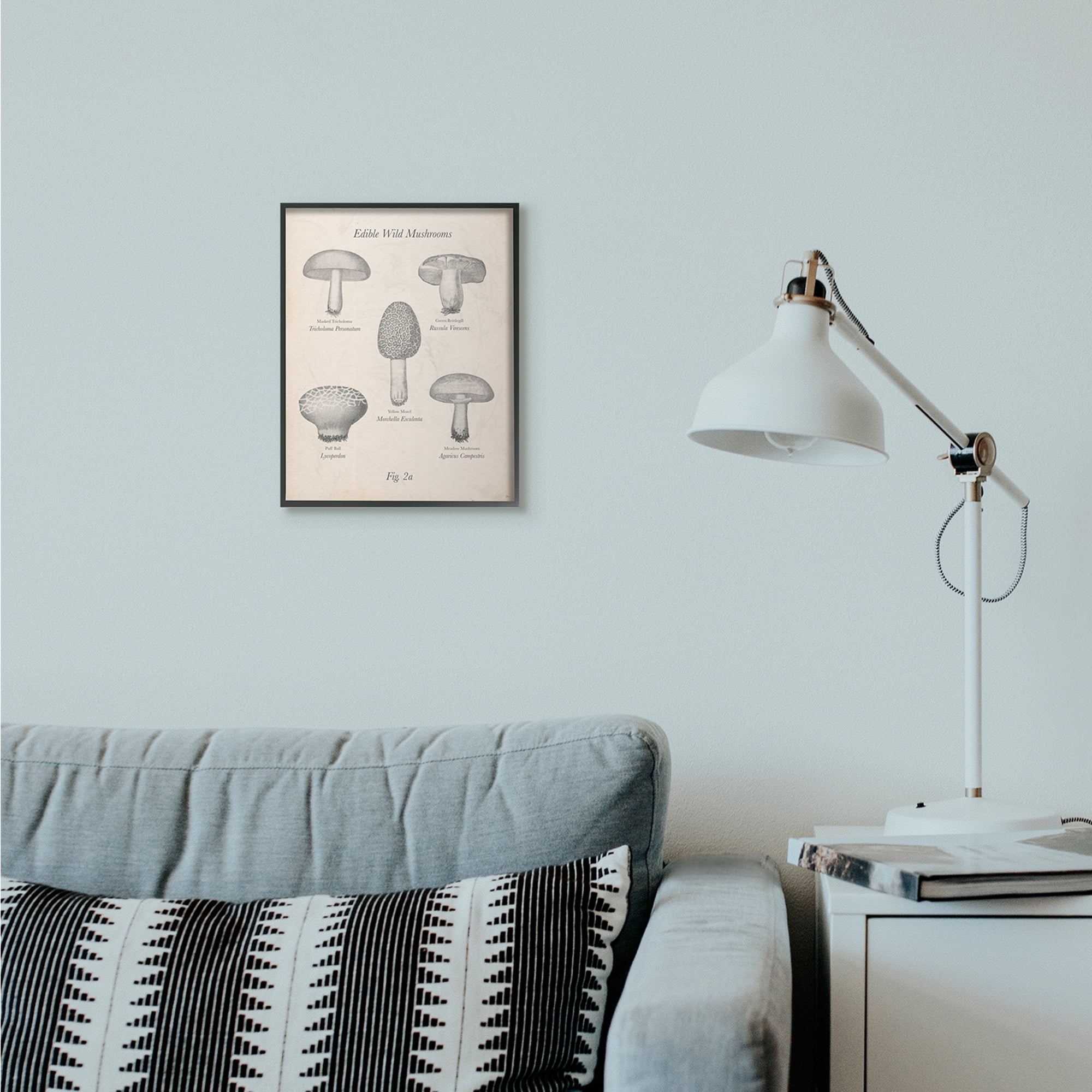 Stupell Industries Edible Wild Mushrooms Vintage Drawing Design Black Framed Art Print Wall Art, 11x14, by The Saturday Evening Post