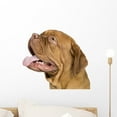thumbnail image 1 of Bordeaux Mastiff 10 Months Wall Mural Decal by Wallmonkeys Vinyl Peel and Stick Graphic (18 in W x 16 in H), 1 of 4