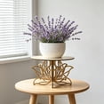thumbnail image 5 of Wooden Plant Stand, Round Tabletop Plant Holder for Small Pots, Decorative Flower Pot Stand for Desk, Home, Office, Natural Wood Plant Decor, 5 of 8