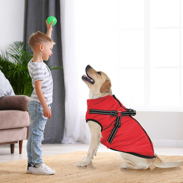 WIZUTIZ Vêtements d'Extérieur Chauds pour Animaux de Compagnie Manteau en Velours et Coton pour Chien Collection Maison Rouge jusqu'à 65 % de Réduction