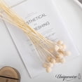 thumbnail image 3 of Uniquewise 20-Pcs Natural Dried Billy Ball Flowers Craspedia Bouquet for Home Party & Wedding Décor Real Buttons for Tall Vases Floral Arrangements DIY Crafts Centerpieces & Wreath Accents, Off White, 3 of 8