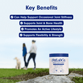 PetLab Co. Joint Care Chew - High Levels of Glucosamine for Dogs - Hip and Joint Supplement to Support Mobility. 30ct