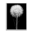 thumbnail image 4 of Stupell Industries Modern Fluffy Dandelion Stem Black & White Photography Framed Wall Art, 16 x 20, Design by Jadei Graphics, 4 of 5