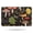 Colorful Mushroom Leaf, variant on Colorful Mushroom Leaf Black Pattern Bathroom Rugs Mat,Non Slip Microfiber Bathroom Rug,Rubber Backing,Soft Bathroom Mats for Bathroom Floor,Tub and Shower,17x27in(43x68cm)