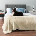 thumbnail image 4 of PetAmi Fluffy Waterproof Dog Blanket For Medium Large Dogs, Soft Warm Pet Sherpa Throw Pee Proof Couch Cover, Reversible Cat Bed Blanket Sofa Protector, Plush Washable Pad (Beige Cream, 40x60), 4 of 9
