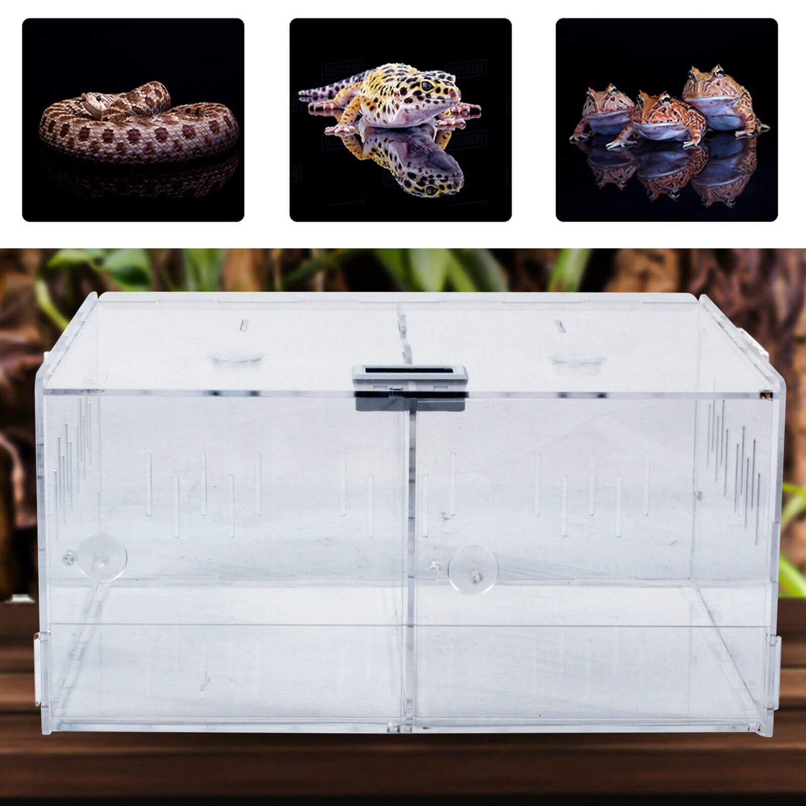 Clear Acrylic Reptile Breeding Feeding Terrarium Case Available in 4 Sizes 
