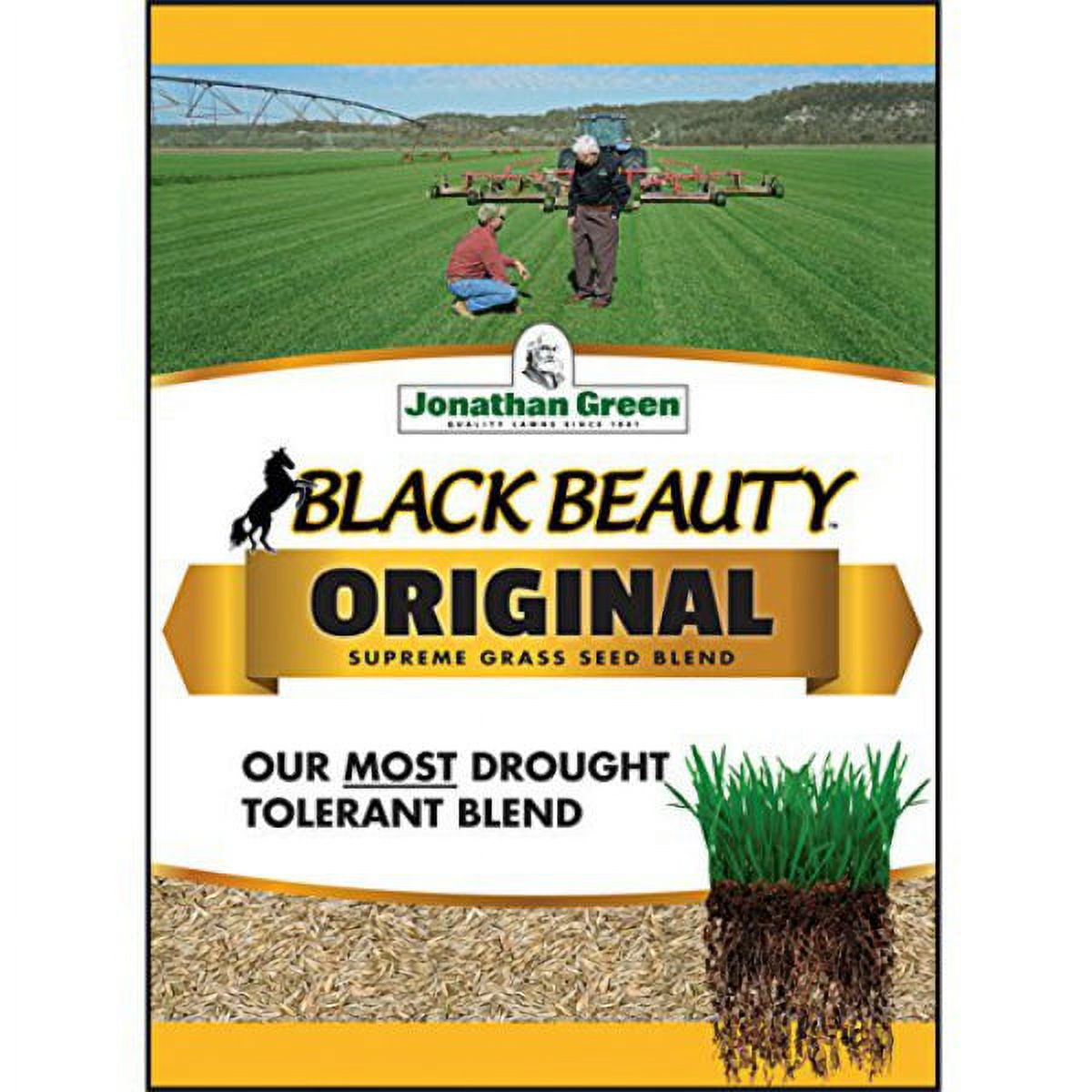 Jonathan Green (12005) Black Beauty Sun & Shade Grass Seed - Cool Season Lawn Seed (7 Lb) : Grass Plants