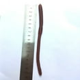 thumbnail image 3 of Realistic TPR Rubber Earthworm Toy 18cm Long Soft Plastic Simulation Worm For Pranks Fishing Or Educational Use, 3 of 5