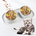 thumbnail image 3 of Slow Feeder Bowls Stainless Steel 15Â° Slanted Double Bowls Non Stand Easy to Wash for Cat Small Dogs Food Water, 3 of 4