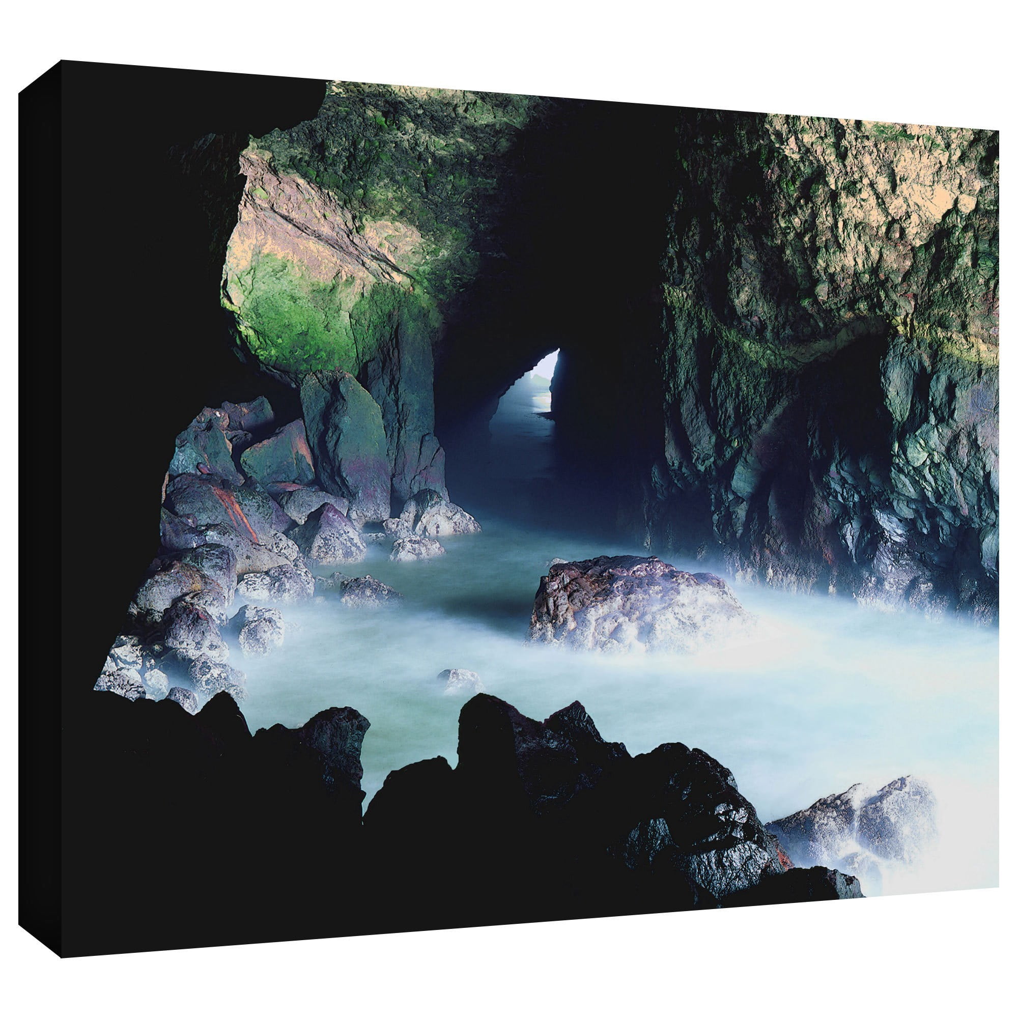 Dean Uhlinger "Sea Lion Cave" Gallery-Wrapped Canvas