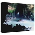 thumbnail image 2 of Dean Uhlinger "Sea Lion Cave" Gallery-Wrapped Canvas, 2 of 2