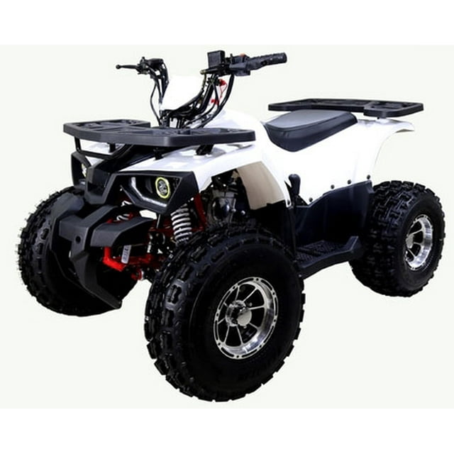 Tao Motor Raptor 125 VTT de Taille Moyenne Édition Limitée (Assemblage Requis), Blanc