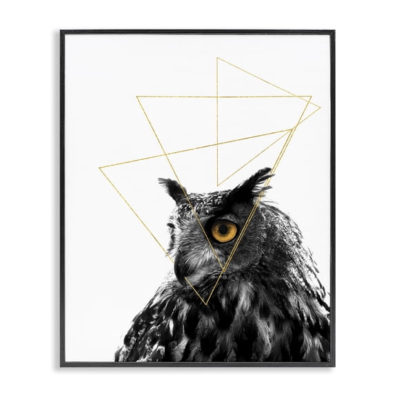 Stupell Industries Mid-Century Contemporary Geometric Owl Shapes Black Framed Giclee Art, 11 x 14, by K. Kaufman