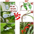 thumbnail image 3 of Plant Clips, 30Pc 360° Adjustable Plant Trainer Clips Plant Support Clips Flower Vine Clips Garden Plant Clips, Rattan Clip, 3 of 9