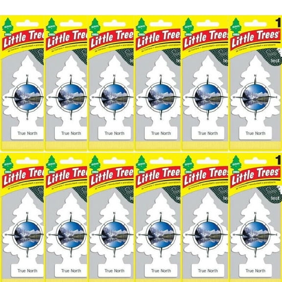 Little Trees True North Car & Home Hanging Air Fresheners, Pack of 12