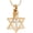 Gold, variant on Star of David Urn Necklace for Ashes Cremation Jewelry for Women Men Stainless Steel Memorial Necklaces Ash Holder for Human / Pet