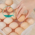 thumbnail image 4 of Bueautybox Plastic Refrigerator Egg Trays,Egg Storage Box,Stackable Plastic Egg Containers with 20Egg Grooves for Fridge Kitchen Restaurant, 4 of 6