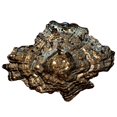 thumbnail image 1 of Bol à Huîtres Grenade Rouge 1618-2, Platine et Argent - Grand, 1 of 1