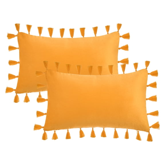 REGALWOVEN Pack of 2 Velvet Soft Solid Decorative Throw Pillow Covers Bohemian Pillowcases with Tassels for Sofa Bedroom Couch Yellow 20" x 12"