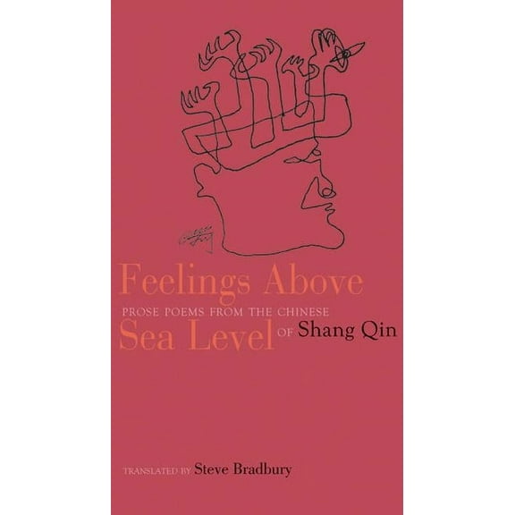 Feelings Above Sea Level: Prose Poems from the Chinese of Shang Qin (Paperback)