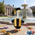 thumbnail image 6 of 2026 Graduation Goose Outfits for Porch,23 Inch Lawn Goose Statue Graduation Gown & Cap Suit,Outdoor Patio Yard Lawn Garden Art Decoration, 6 of 9