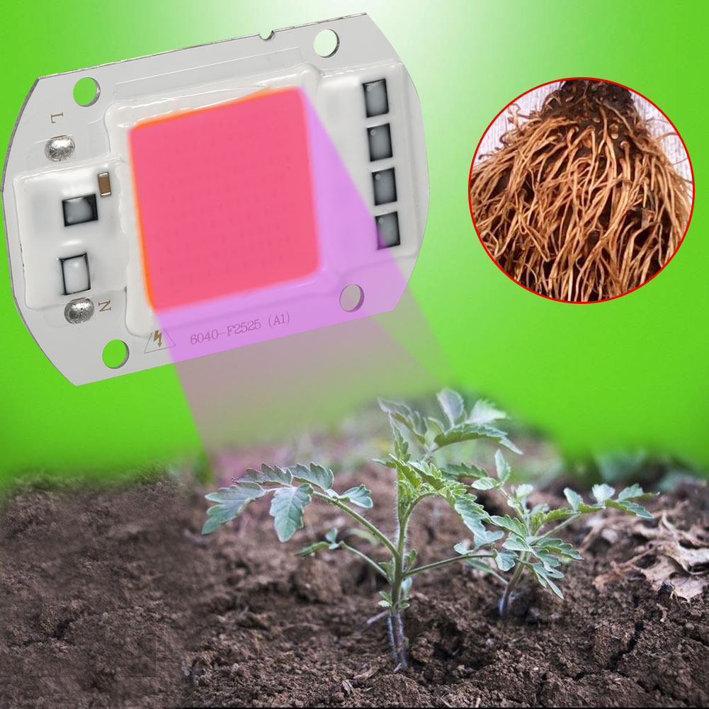 Growth Hydroponics Plant Growing Lamp Full Spectrum LED COB Chip Grow Light Growth Hydroponics Plant Growing Lamp Full Spectrum LED COB Chip Grow Light