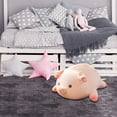 thumbnail image 4 of Stuffed Pig Toy, Plush Animal Pillow, Soft Kawaii Anime Plush Toy Gifts for Kids Teens Adults, Large 15.7 Inch Feather Cotton Filled Lumbar Support Cushion for Bedroom Living Room Office Use, 4 of 7