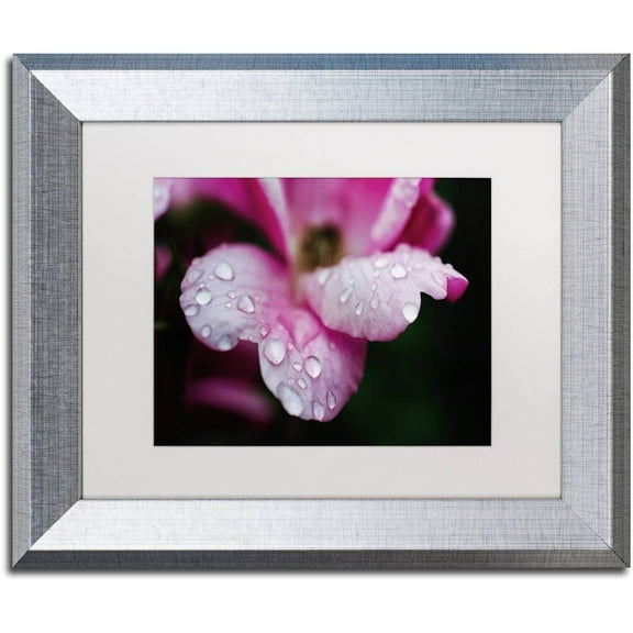 Trademark Fine Art 'Raindrops on Wild Rose Color' Canvas Art by PIPA Fine Art, White Matte, Silver Frame