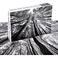 thumbnail image 2 of Bgraamiens Puzzle-Forest en Blanco y Negro-1000 Piezas Creat Bgraamiens Bgraamiens, 2 of 2