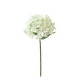 thumbnail image 2 of Valentine's Day Decorations 54 PCS Artificial Hydrangea Flowers, Silk Hydrangea Full Flowers Heads with Stems for Wedding Centerpieces, Home, Garden, Party Decoration (White), 2 of 6